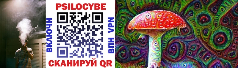 Псилоцибиновые грибы Cubensis  Кодинск 